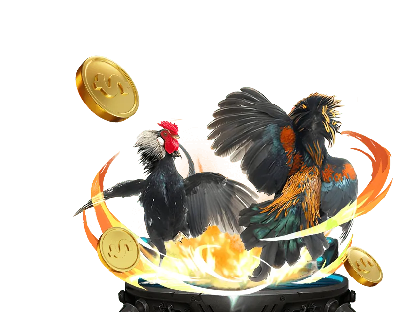 Khuyến mãi đăng ký mới cho đá gà trực tiếp