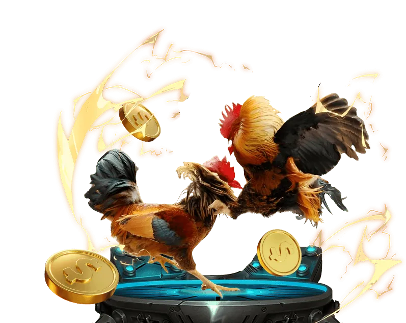 Phân tích chiến kê và dự đoán trận đấu đá gà